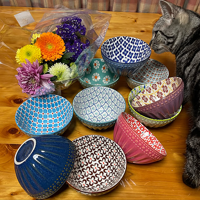 セットでそろうのがうれしい♪日々の食事もおもてなしも楽しくなる