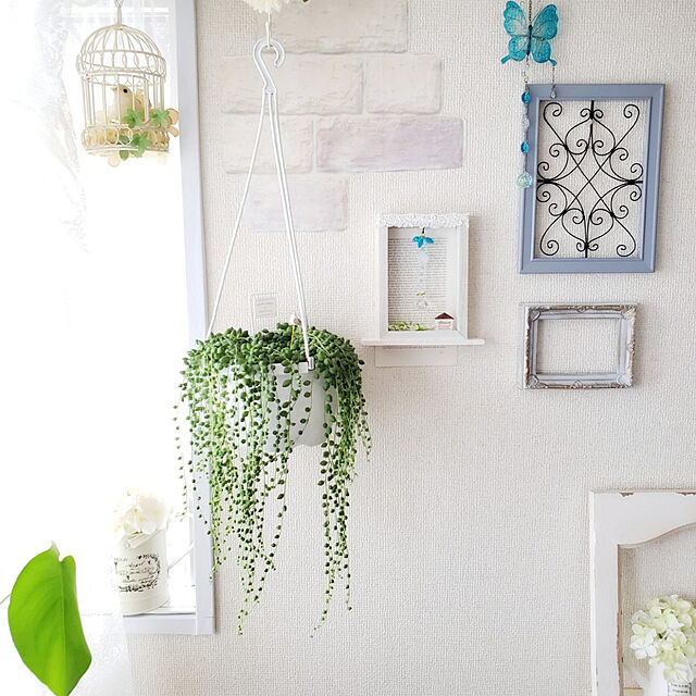 まるで緑のアクセサリー インテリアに表情をプラスするグリーンネックレス 22年2月26日 エキサイトニュース まるで緑のアクセサリー インテリアに表情をプラスするグリーンネックレス 22年2月26日 エキサイトニュース