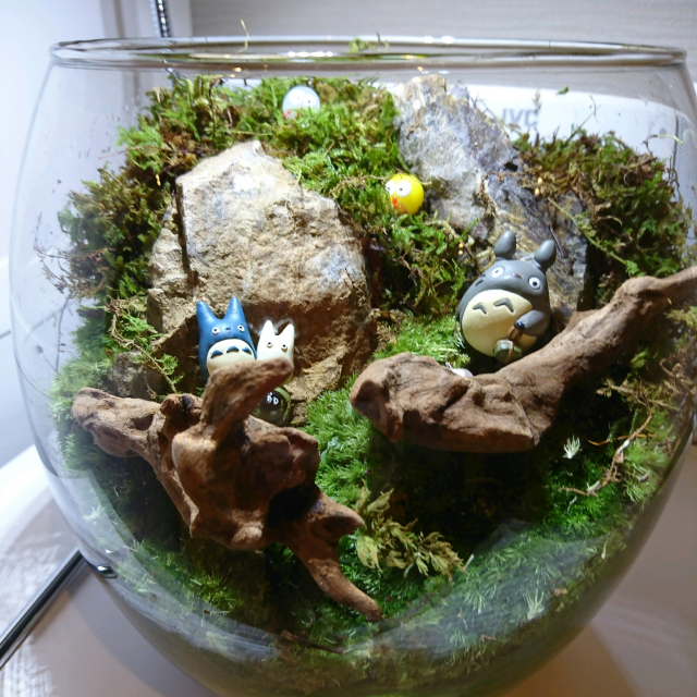 お部屋に森を 癒しのテラリウムでインドアガーデニング 19年4月9日 エキサイトニュース 2 3 お部屋に森を 癒しのテラリウムでインドアガーデニング 19年4月9日 エキサイトニュース 2 3