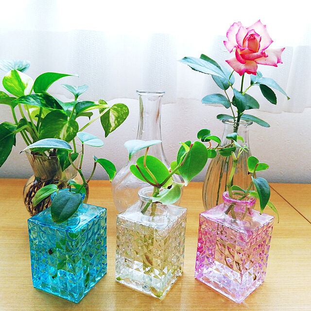 ディスプレイから収納まで セリアのガラス容器を使った10のアイデア 21年5月1日 エキサイトニュース