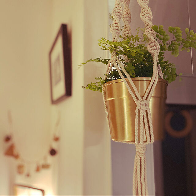 インテリア映えを狙うならグリーンはコレが ふんわり涼しげなアジアンタム 21年4月21日 エキサイトニュース 2 3