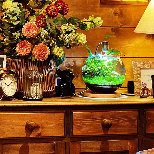 好きな入れ物で楽しめる☆ボトルアクアリウムのある風景 (2021年5月6日