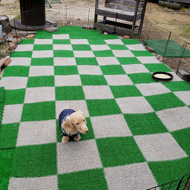 いつでも走れてワンちゃんハッピー ドッグランのdiy実例集 21年4月29日 エキサイトニュース