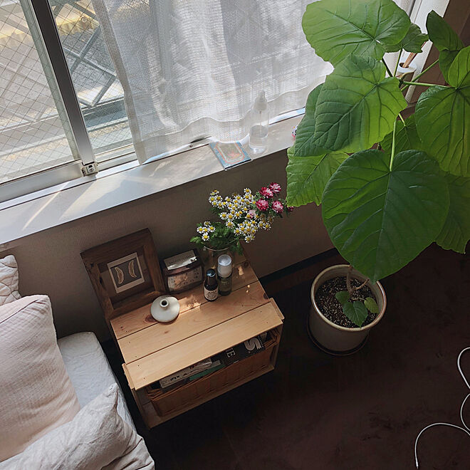 「19ｍ2。感性が光る、雑貨屋さんのような味のあるお部屋づくり」 by cumeさん (2021年7月21日) - Vimarsana News