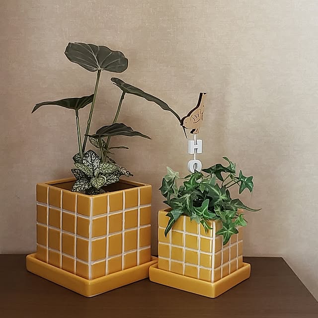 みんなが選んだ！】買って正解♪「Standard Productsの植木鉢」3選 