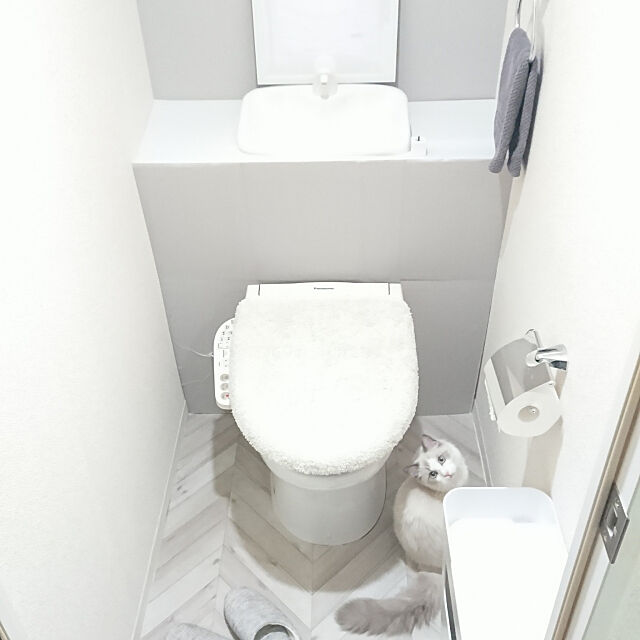 賃貸での実例をご紹介 すっきりとしたタンクレス風トイレにdiy 22年4月22日 エキサイトニュース