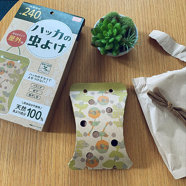 室内も屋外も早めに取り組むのがカギ みんなが実践している虫よけ 虫対策 22年5月26日 エキサイトニュース