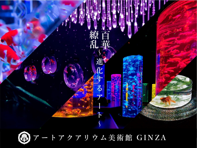 美しい金魚アートで人々を魅了 アートアクアリウム美術館 Ginza が銀座三越に誕生 22年4月11日 エキサイトニュース