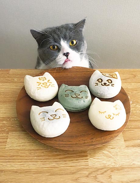 猫モチーフのスイーツ&フード12選! 全国からお取り寄せOK