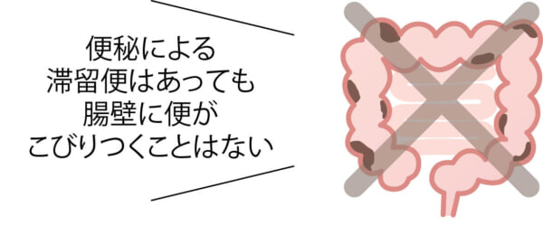 宿便 は存在しない 腸内洗浄には感染症の危険性も 専門家 監修 ローリエプレス