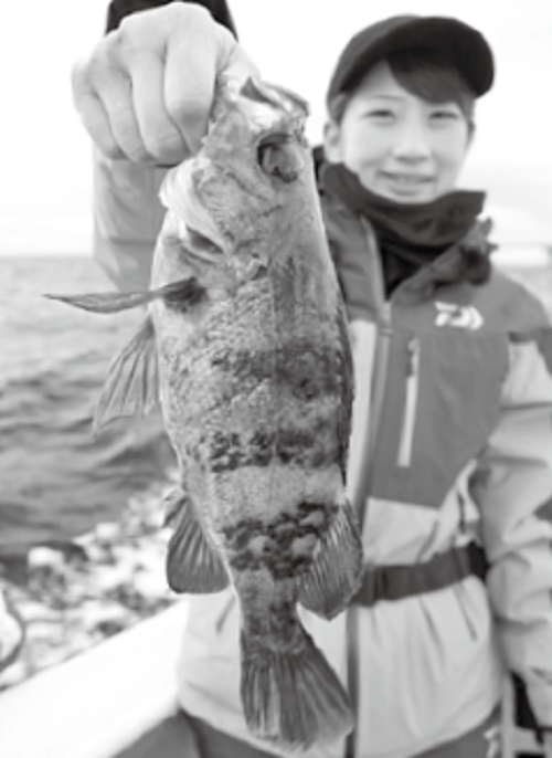 【船竿】 ★ BAY RIDER 春告魚（メバル）２７０（ノリ調子）★ Yahoo!オークション -「春告魚」(スポーツ、レジャー) の落札相場