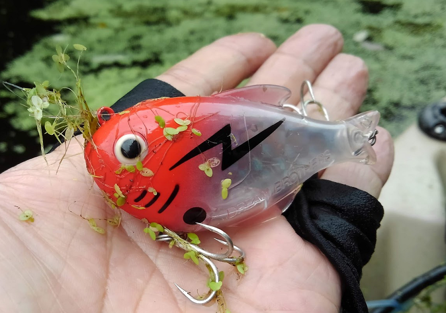 藻が水面にびっしり！どうやって釣ればいいの？【バス釣り攻略】 (2022 