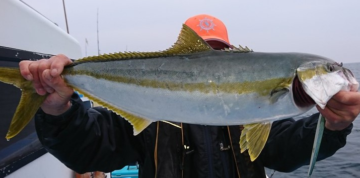 ヒラマサはブリのような出世魚じゃない！習性や食べ方をチェック (2024年5月15日) - エキサイトニュース