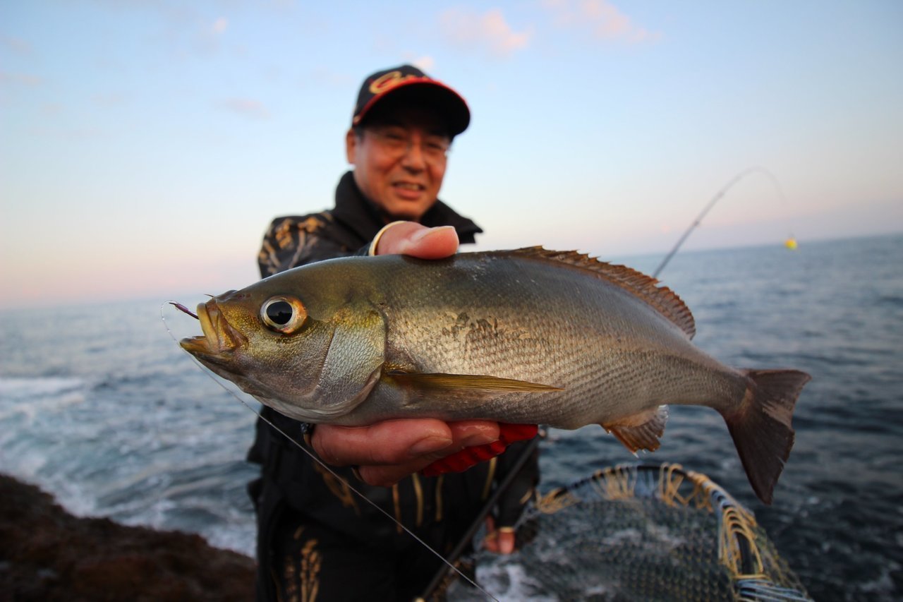 山陰ヒラマサ釣りの伝統「タルカゴ釣法」に迫る 魅せられた達人が進化