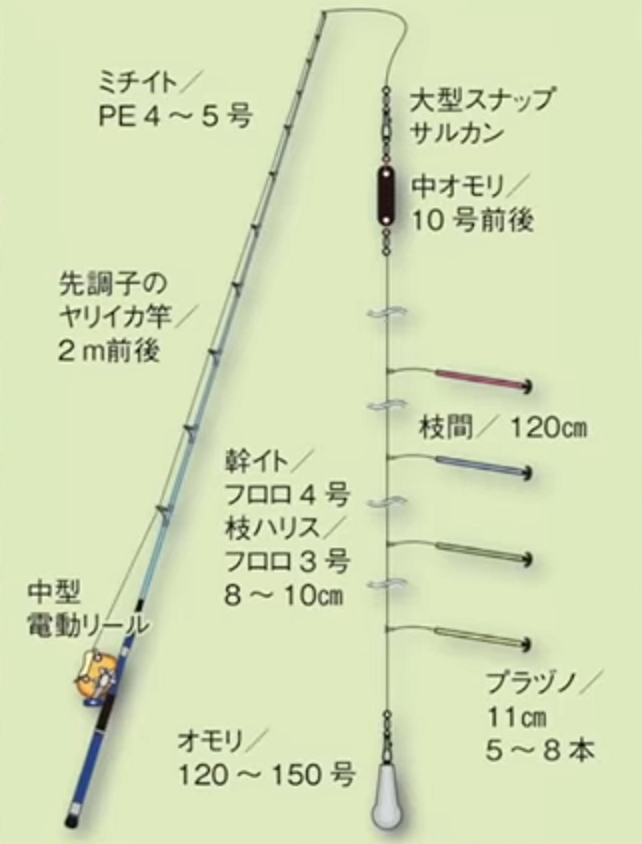 ヤリイカ釣りってどんな仕掛けをつかえばいいの？船釣りでおすすめの