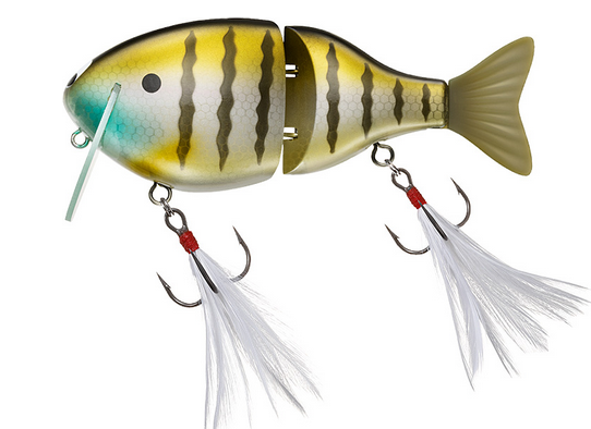 FishingJapan_017187_1.png