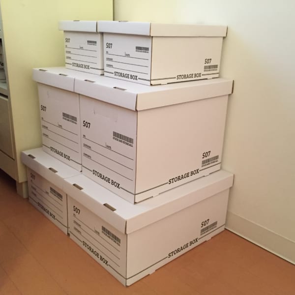 連載 本棚が無くてもok 100均アイテムで とりあえず収納 ローリエプレス