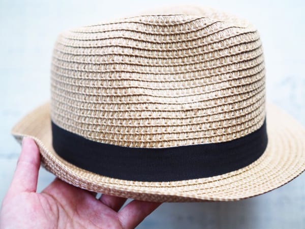 連載 ダイソー キャンドゥ で夏アイテムをゲット 高見え 便利グッズをご紹介 ローリエプレス