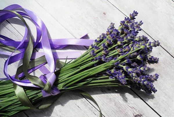 ラベンダーの花言葉 ハーブの女王と呼ばれる香りが素敵な花に込められた意味を解説 ローリエプレス