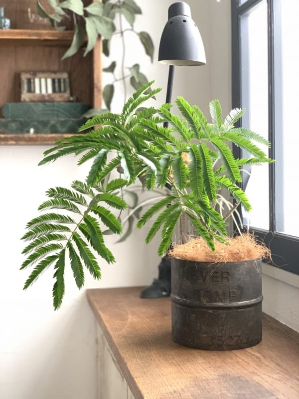 連載 セリアのシールと建築資材で作る アンティーク雑貨のような鉢カバーをdiy ローリエプレス