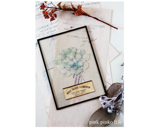 セリア キャンドゥ ダイソー 100均アイテムを使って 高級感あふれる植物標本風アイテムを作ろう ローリエプレス