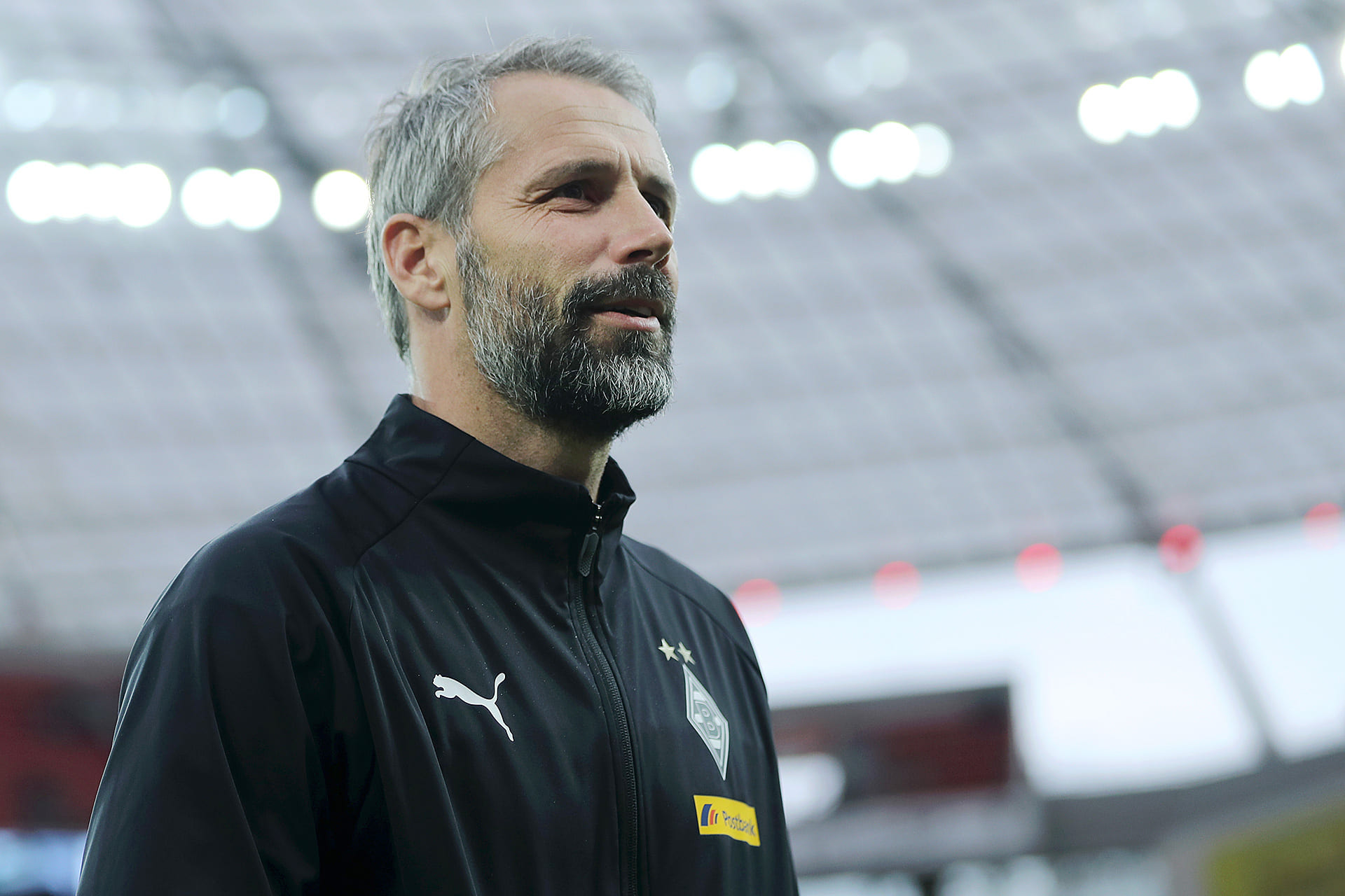 マルコマールの雄牛