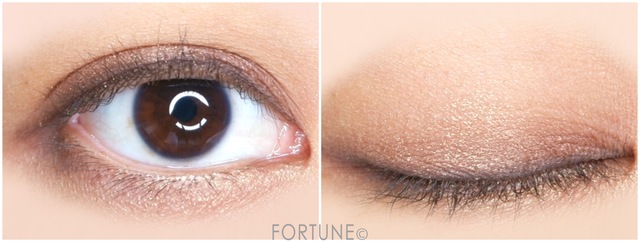 新作 M A C からアイシャドウパレット限定2種を詳しくレビュー ローリエプレス