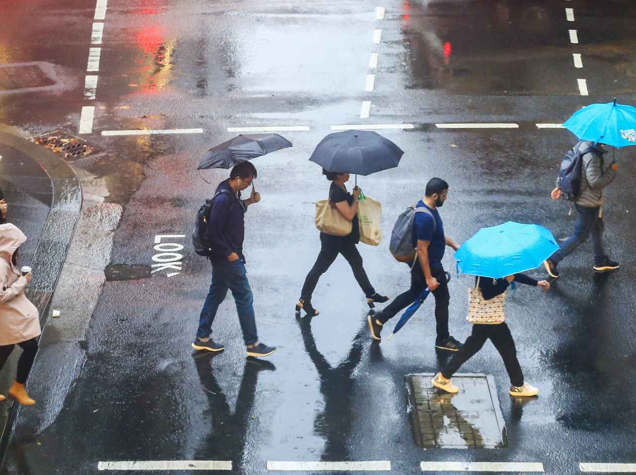 オーストラリアでめぐみの雨 しかし森林火災の影響は消火後も続く 年1月17日 エキサイトニュース