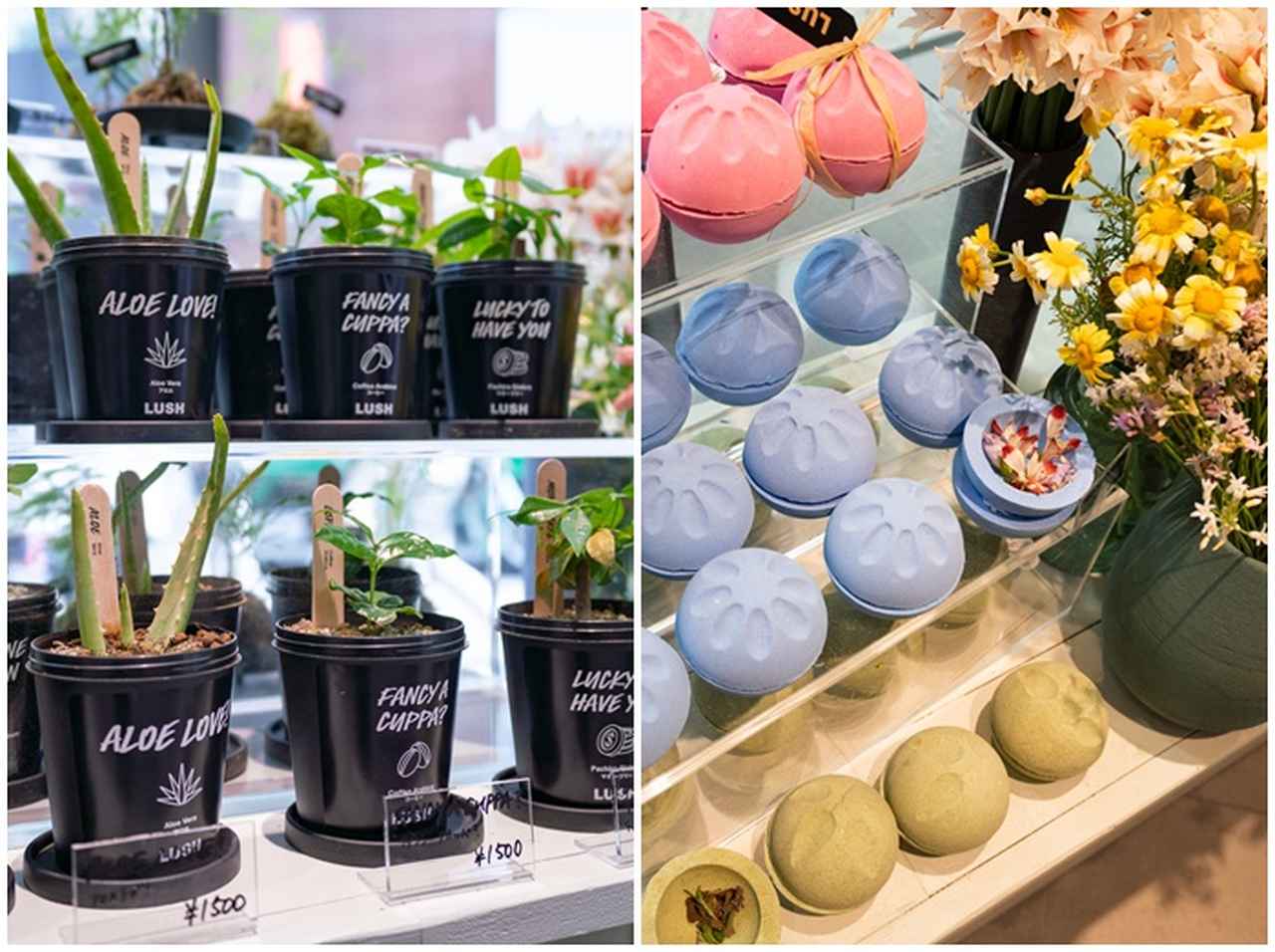 Lush新宿店で販売されている １ の花って 19年7月13日 エキサイトニュース