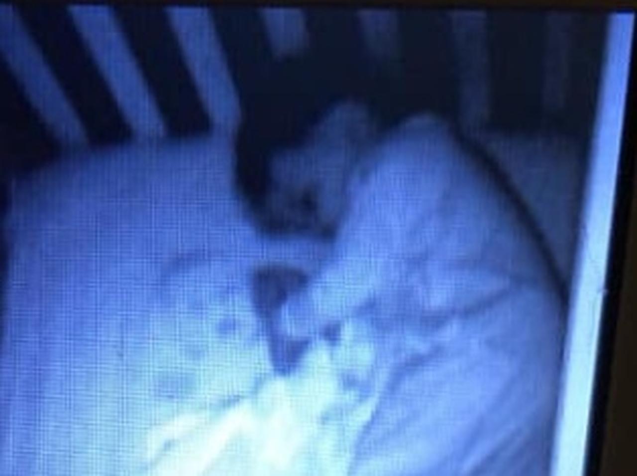 子供のベビーモニターにはっきりと 赤ちゃんの幽霊 が映っている その 正体 に爆笑 19年10月27日 エキサイトニュース