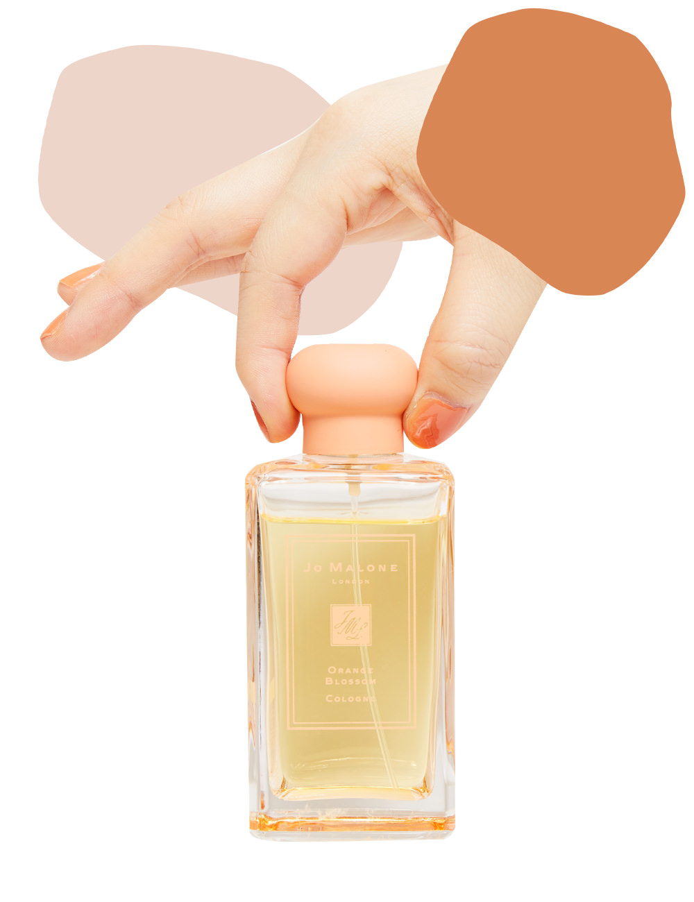 好きなモノがあるって楽しい マニアック を追求することvol 3 香水マニア深澤亜希 ローリエプレス