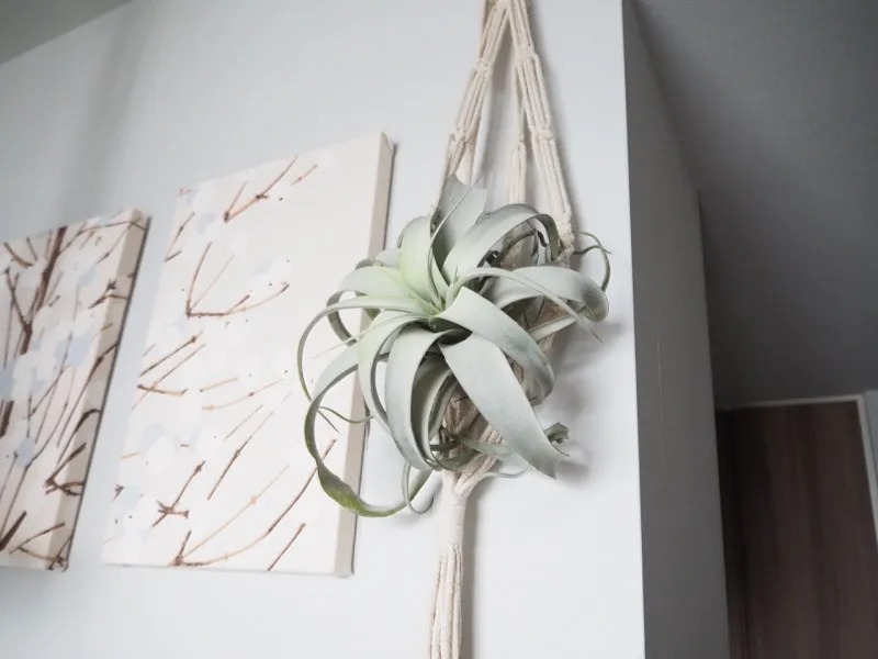 忙しくてもできる簡単 模様替え 狭い部屋を広く おしゃれに見せるアイデア集 ローリエプレス