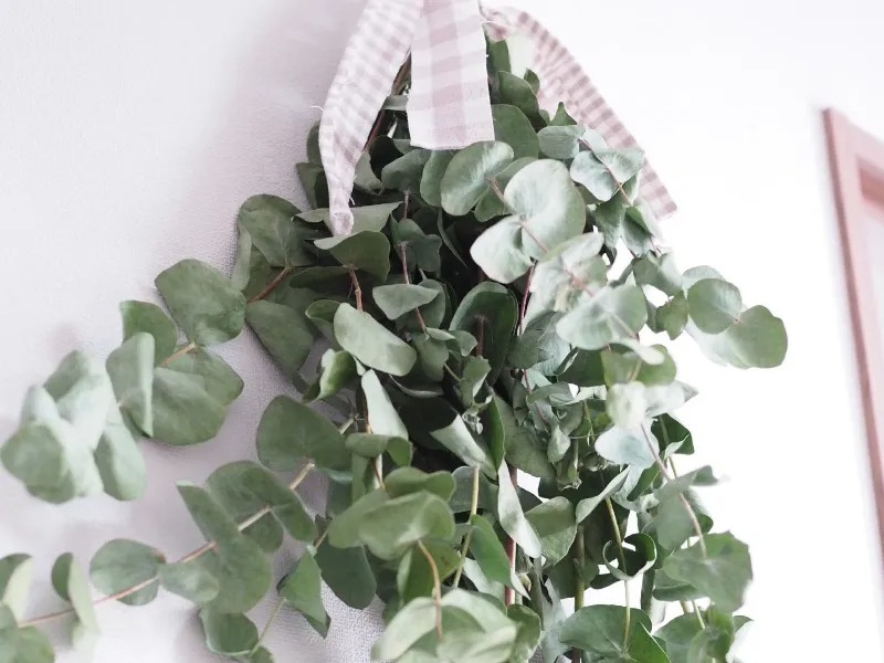 忙しくてもできる簡単 模様替え 狭い部屋を広く おしゃれに見せるアイデア集 ローリエプレス