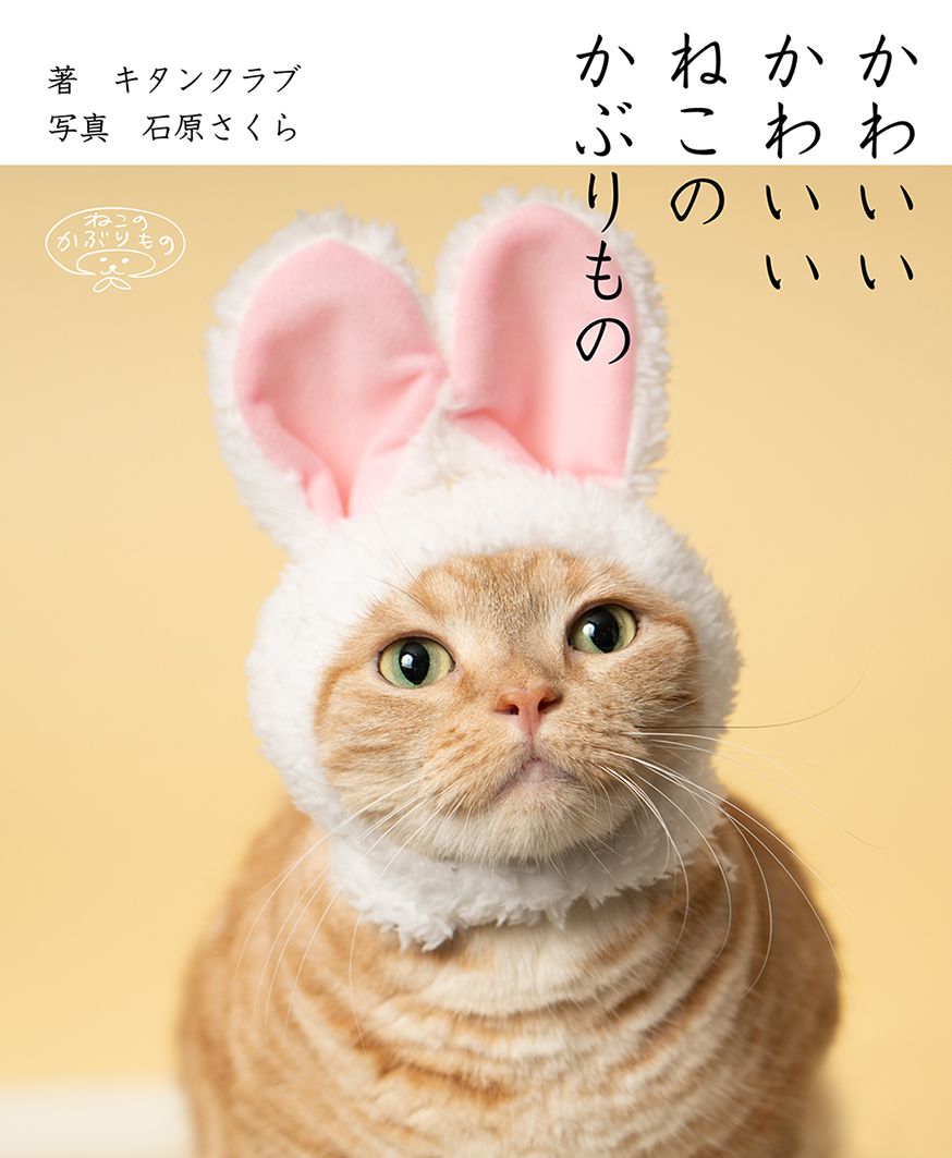 猫のかぶりもの カプセルトイが海外でも地味に話題 18年9月25日 エキサイトニュース