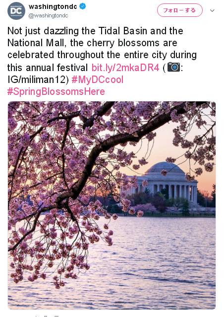 アメリカにも桜の季節が到来 19年3月25日 エキサイトニュース