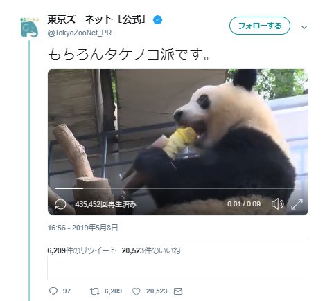 パンダが たけのこ を豪快に食べる姿に カプリコ食べてるみたい たけのこの里 パンダ編 の声 19年5月11日 エキサイトニュース