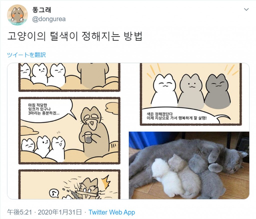 兄弟猫でも毛色が違うのはなぜ 猫の神様を描いたファンタジー漫画がかわいい 2020年2月5日 エキサイトニュース