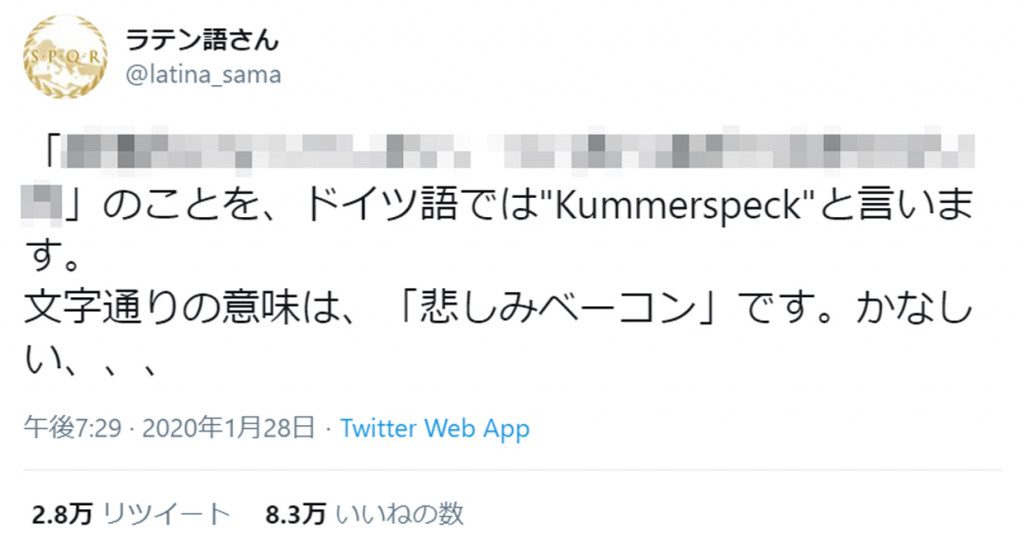 ドイツ語で Kummerspeck 悲しみベーコン ってどんな意味 まさに私 悲しすぎる との声 年6月17日 エキサイトニュース