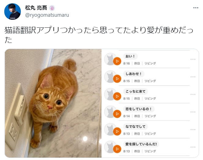 思ってたより愛が重めだった 猫語翻訳アプリを使った松丸亮吾の投稿に14万超いいね 21年10月6日 エキサイトニュース