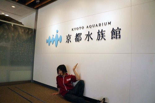 オオサンショウウオのミルフィーユと神の手を持つ男 京都水族館って一体なんだ 14年7月26日 エキサイトニュース