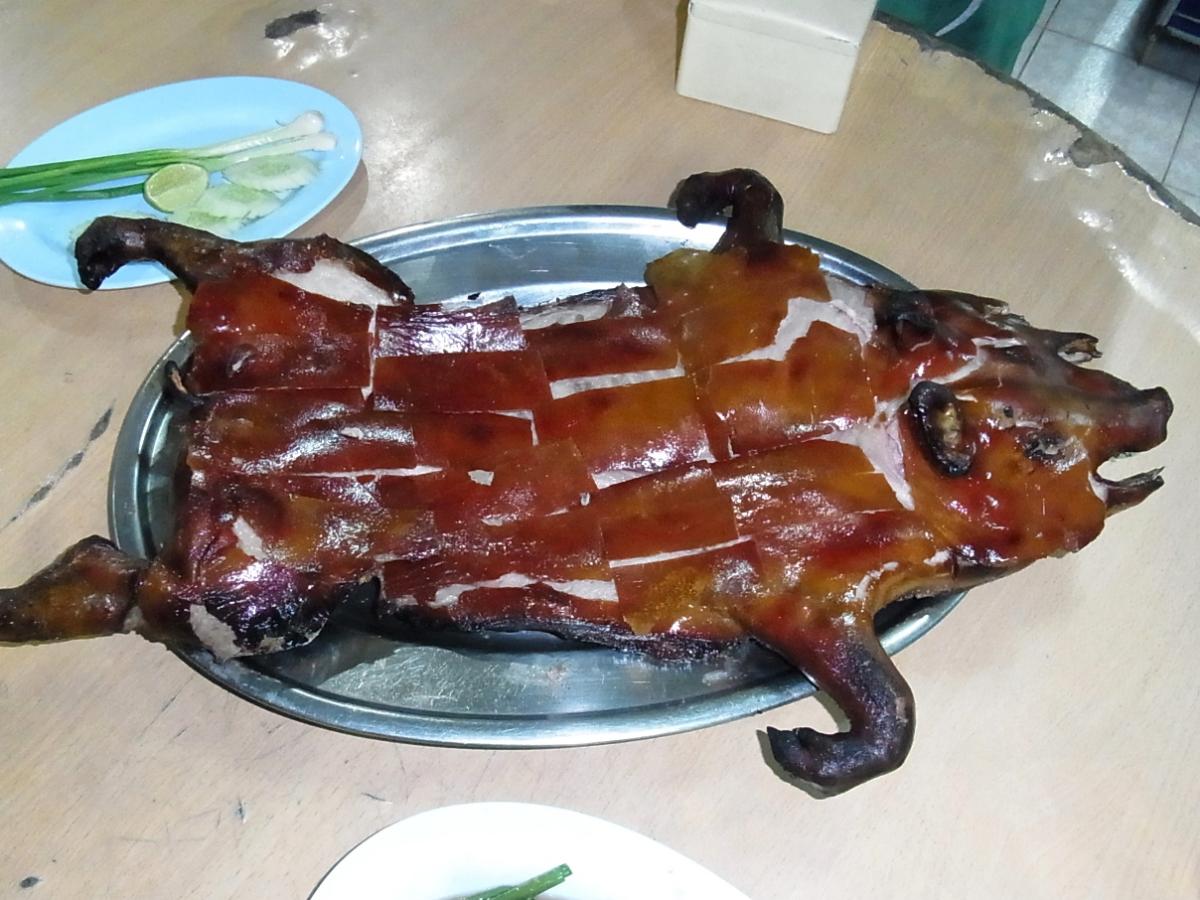 屋台で食べられる 子豚の丸焼き 15年3月5日 エキサイトニュース