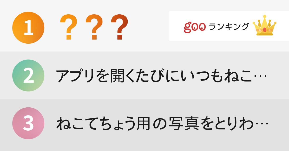 人気スマホアプリゲーム ねこあつめ であるあると思うことランキング 15年5月10日 エキサイトニュース