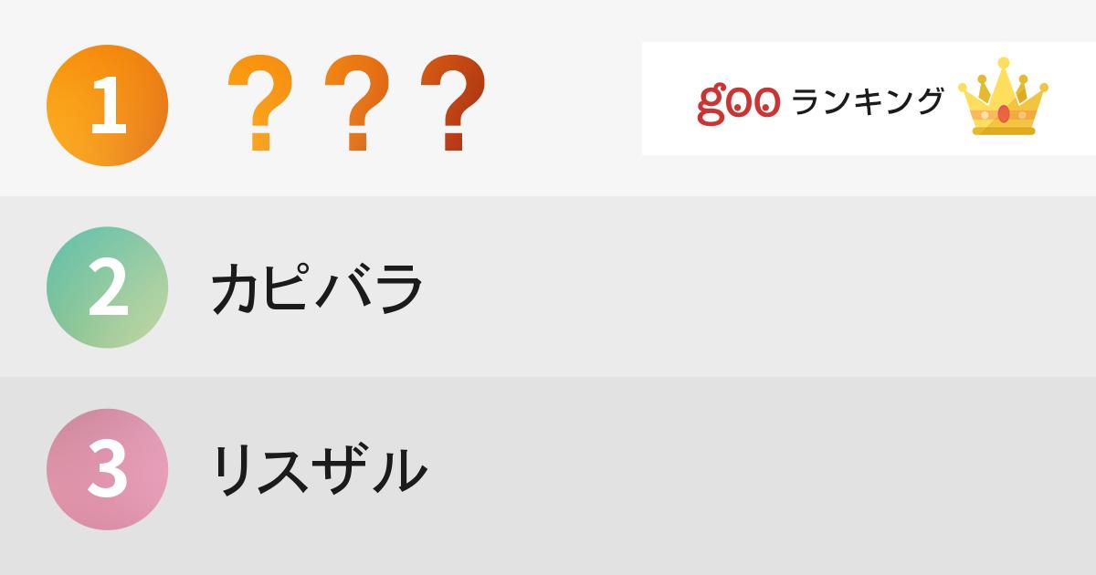 メジャーじゃないけどかわいい哺乳類ランキング 14年10月11日 エキサイトニュース