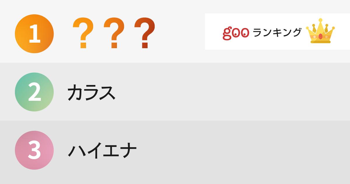 性格が悪そうな動物ランキング １位ニンゲン 14年9月5日 エキサイトニュース