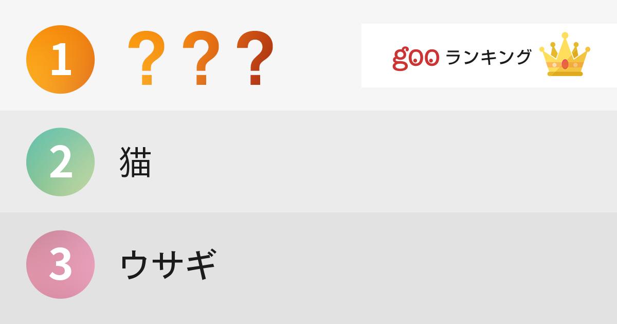 飼ってみたい動物ランキング 15年10月21日 エキサイトニュース