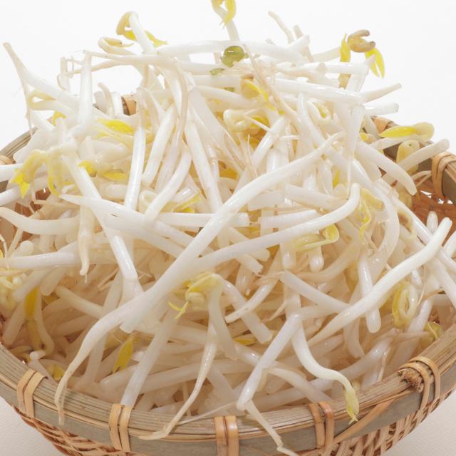 もやしは栄養たっぷり 食卓の心強い味方 15年11月11日 エキサイトニュース