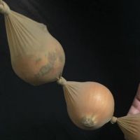 使わないストッキングの生活活用術