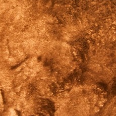 じゅうたんに染み付いた子どものおしっこのニオイ 消す方法が知りたい 14年4月19日 エキサイトニュース