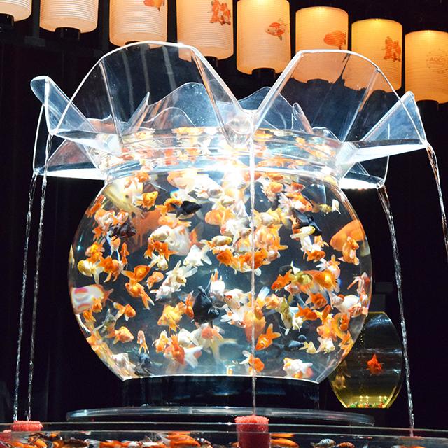 ビッグ金魚鉢が圧巻 美しすぎる金魚の競演 アートアクアリウム展 で涼んできた 16年7月14日 エキサイトニュース 2 3