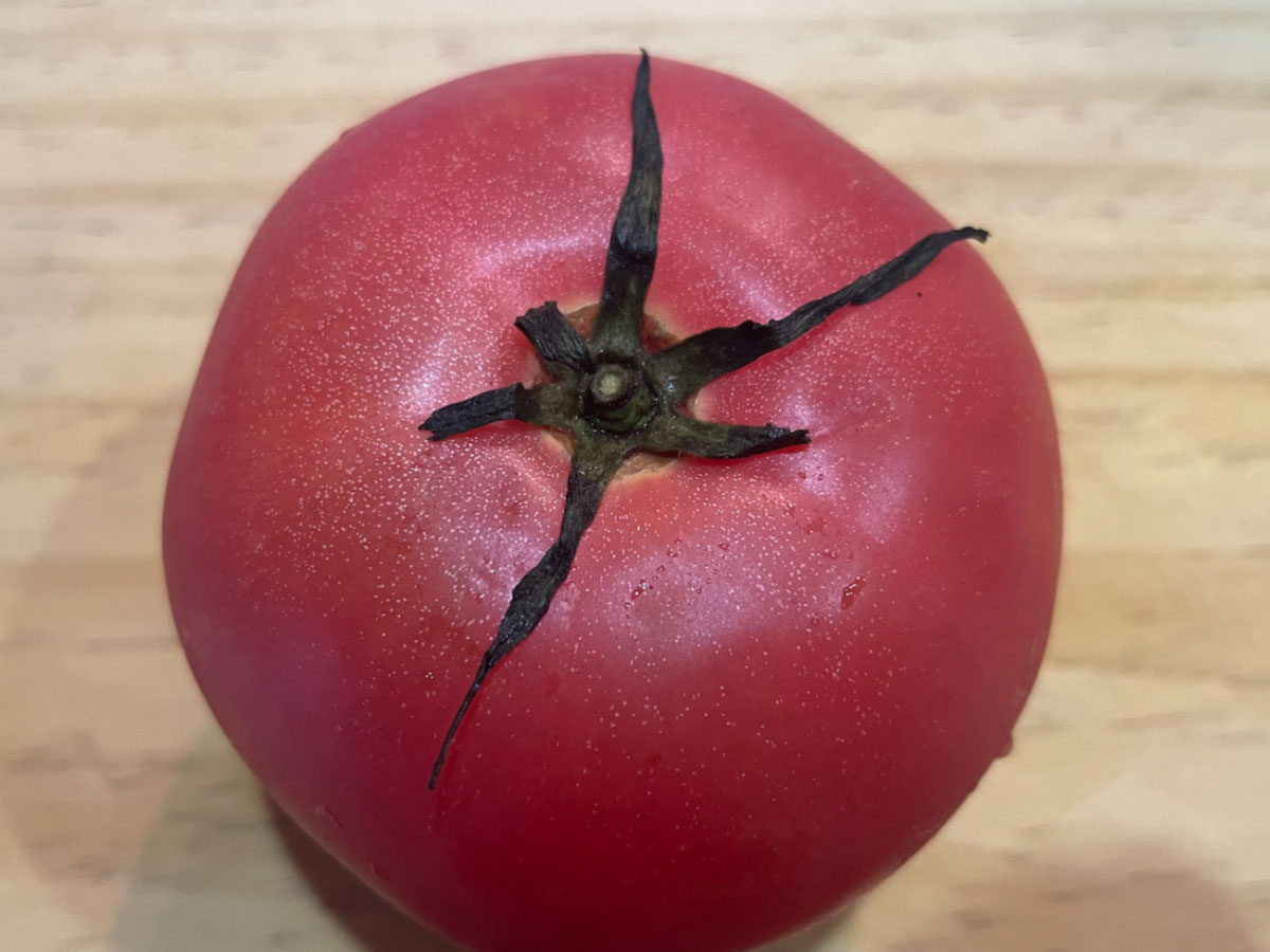 トマトを切るにはコツがある 料理の幅が広がるトマトの切り方 21年10月27日 エキサイトニュース